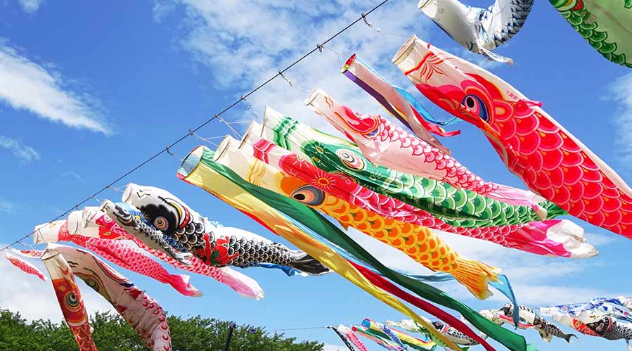 Read more about the article Seasonal Festival in Japan – Tango No Sekku